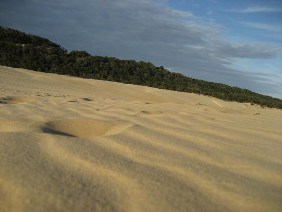 real desert