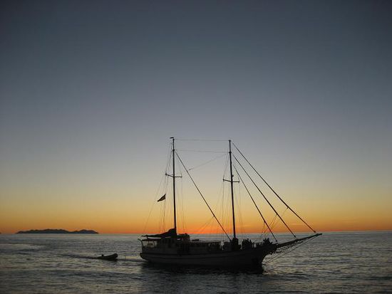 neighbour ship