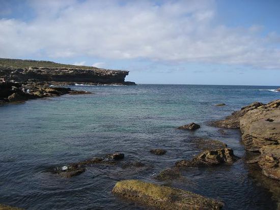 Im Royal National Park...
