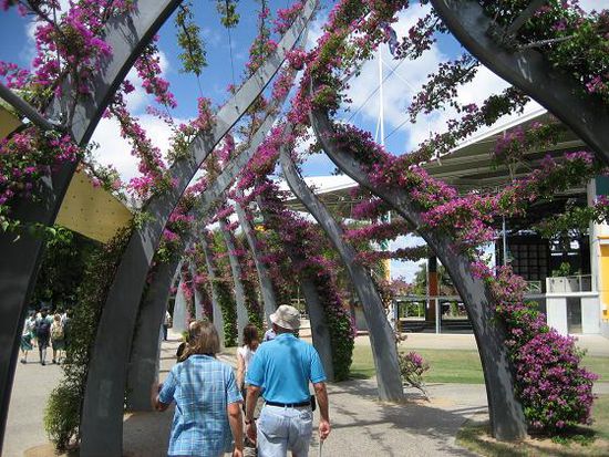 e soooooo schoeeeeeen, south bank brisbane, blueemlispalier