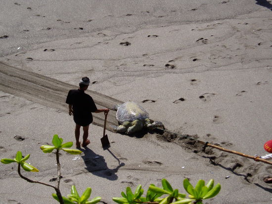 Und wir haben sie auch geknippst...