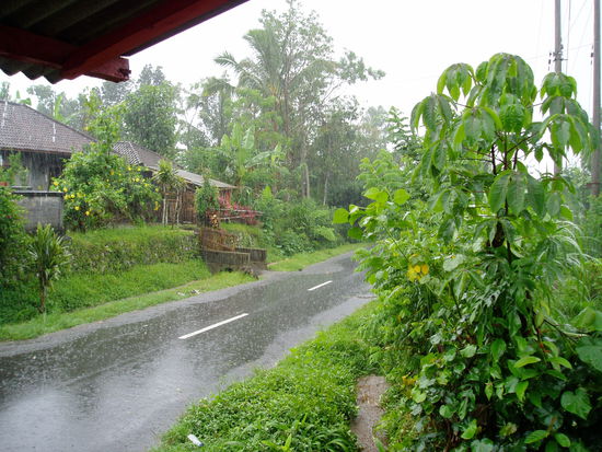 Doch etwas groesserer Schauer!!!