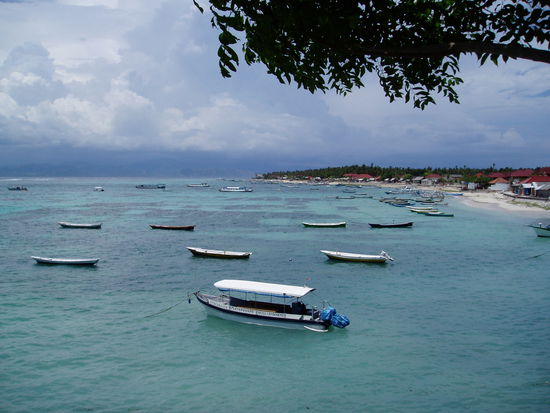 im Wasser die Sewi-Felder (Seegras)...