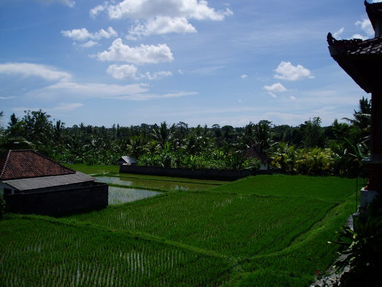 Balkonblick am Tage ...