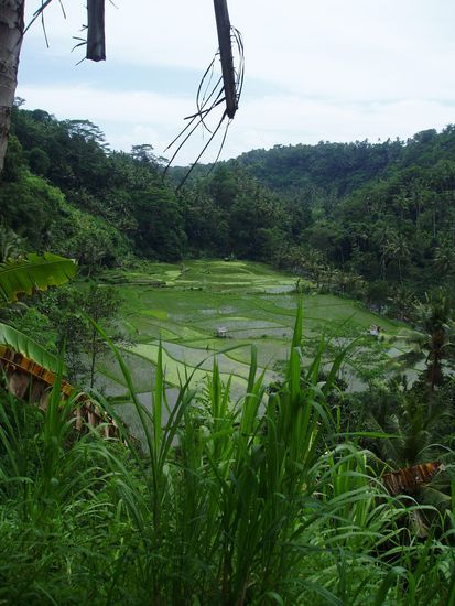 Reislandschaften ...