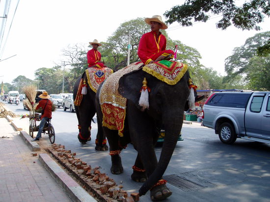 .. sind die Dick-mann