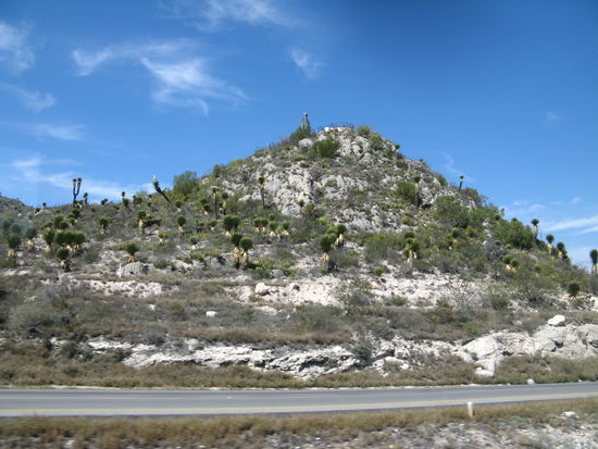 an der Autopista Richtung Nordmexiko