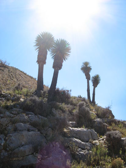 Real de Catorce Umgebung