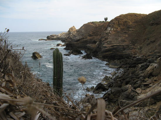 auf dem weg nach punta cometa, das ziel liegt beim grossen kaktus ganz hinten