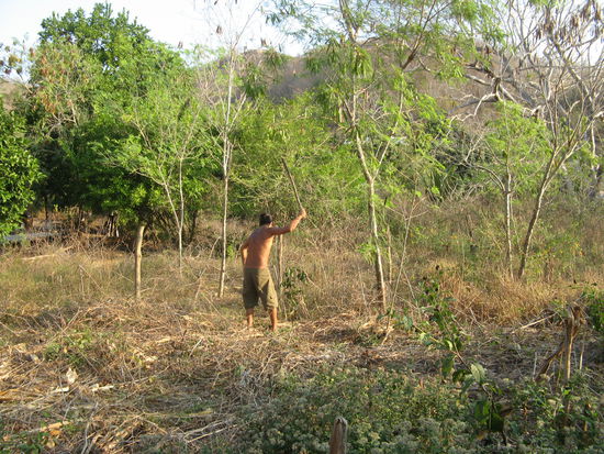 Octavio auf seinem Grundtueck