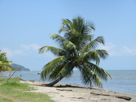 Strand bei Livingston