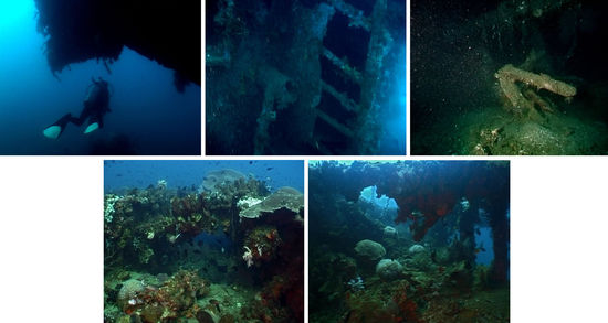 Das Tanduk Rusa Wrack