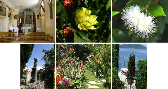 Pfarrkirche, Kaktusblüte, Kapernblüte
Friedhof von Kolocep, Vorgarten, Hafenansicht