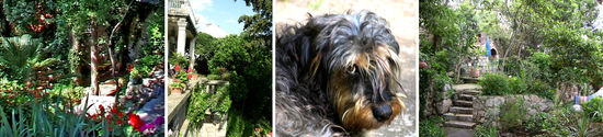 Der Garten „unserer“ Villa Miomir und „Pippi“