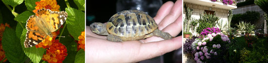 Unsere „Nachbarn“