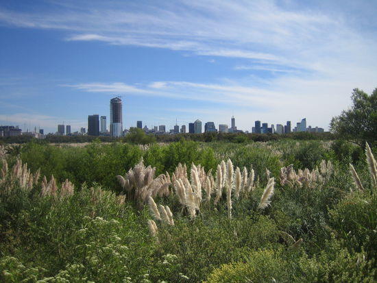 ein ganz anderes bild der stadt - zu fuss 30 minuten ausserhalb im naturschutzgebiet am ufer des rio plata, wo sich sonntags die familien mit dem mate auf den wiesen tummeln und wo man wunderbar mit dem fahrrad durchs naturreservat fahren kann. ploetzlich wirkt die stadt ganz friedlich, man hoert nur noch voegel zwitschern und kann sich im bikini in die sonne legen!