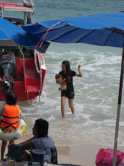 und bei den thais muessen natuerlich auch die huendchen mit auf die insel (die dame traegt schon die badeklamotten, wie praktisch!)