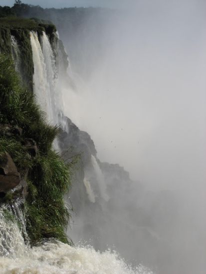 die voegel kann man aufgrund des nebels und der entfernung nicht erkennen, doch hinter diesem wasserfall - weit weg von natuerlichen feinden - leben sie tatsaechlich!