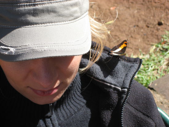 und es gab so viele schmetterlinge, denen mein fleece mehr gefallen hat als mir