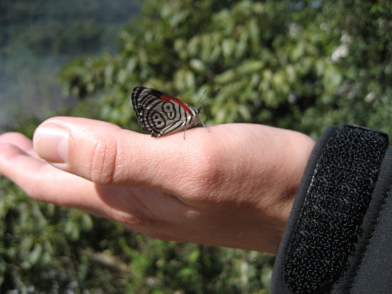 rueckennummer 9 mit rueckennummer 88