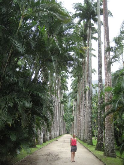 im botanischen garten