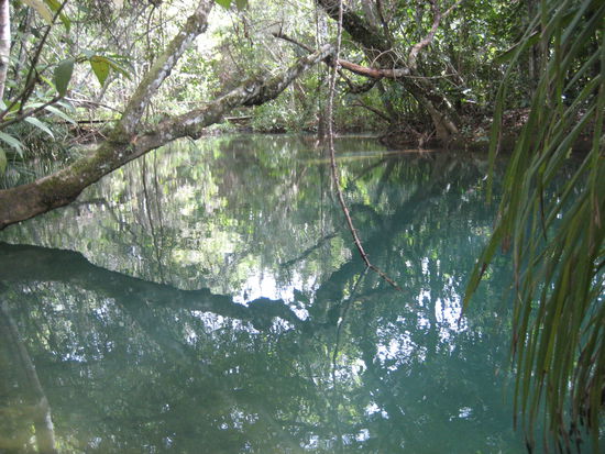 kristallklares wasser des rio formoso