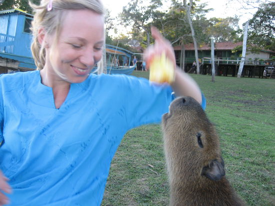 ...bis ich ihm einen apfel gab... in der hoffnung noch mehr essbares zu finden trampelte es dann auf uns rum und wurde ein wenig "penetrant"  ab da haben wir einen bogen um das schwein gemacht...!