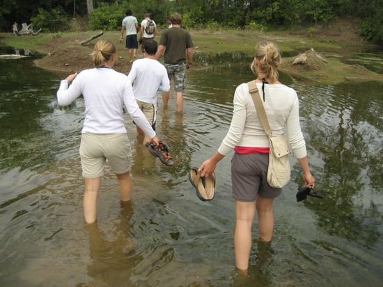 waten durch den sumpf gehoert hier auch zum programm. wir ignorierten dabei einfach mal, dass es auch wasserschlangen und sonstiges getier im wasser haben koennte