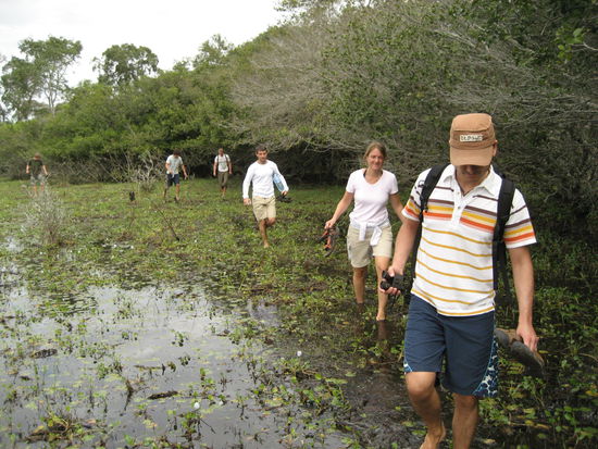 waten im gaensemarsch