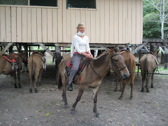 anfangs war mir das ganze nicht so geheuer wie man sieht 