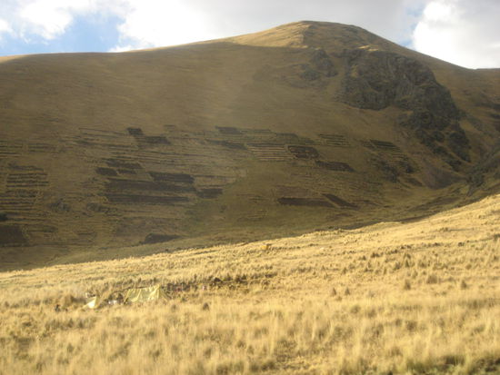 felder bis ins unendliche