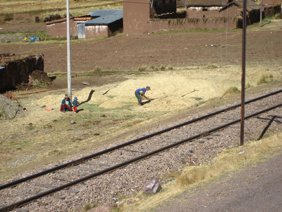 und hier wird von hand gedrescht