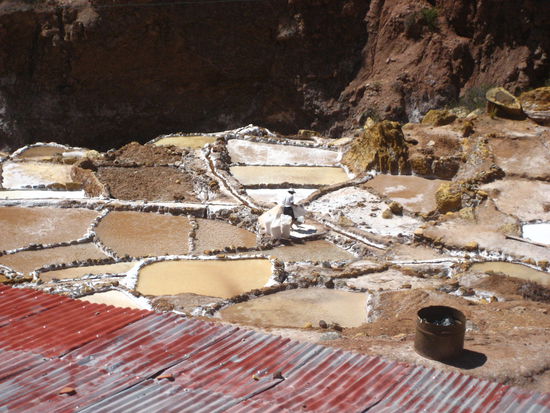 hier sieht man einen der arbeiter mit den 50 kilo saecken