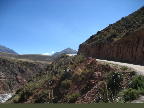 der zugang zu den terassen war ueber abenteuerliche strassen... und wir waren uns noch nicht sicher, wie lange muriel den fueherschein hat... einmal hat er voellig uebersteuert. laut jake voll "scary"... 