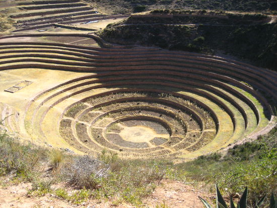 konzentrische kreise bilden ein sehr schoenes muster