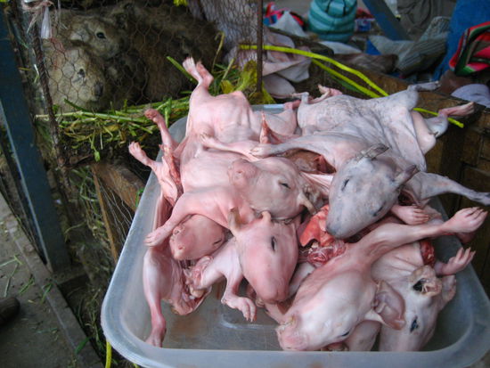 ja, und so sehen gehaeutete meerschweinchen aus... na dann, haut rein  man braucht schon viele um satt zu werden oder?!