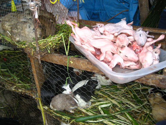 unten suess und weich, oben nackig.