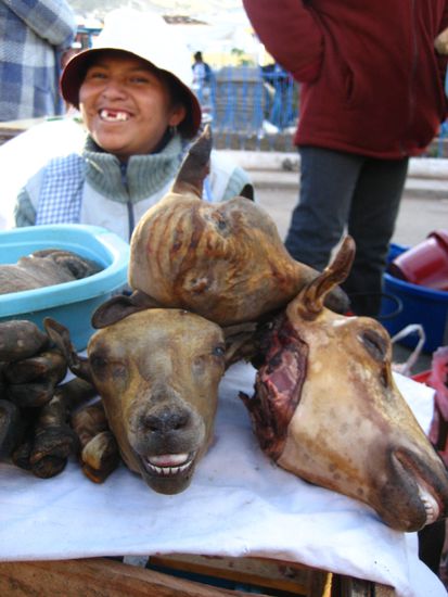 welch geiles bild oder?! wer hat das schoenere laecheln?!!
jetzt vergeht euich gleich das lachen: diese ziegenkoepfe werden gegessen (komplett, als suppe). und zwar zum fruehstueck!! hufe daneben auch. werden abgenagt. dahinter in der schuessel liegen die maegen. hier wird nichts uebrig gelassen...