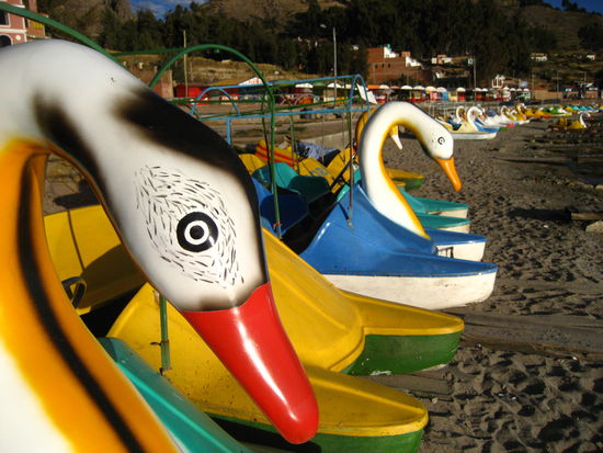 die wunderbar kitschigen schwan-tretboote am see, wo sich jake und chris mal voll verausgaben konnten.