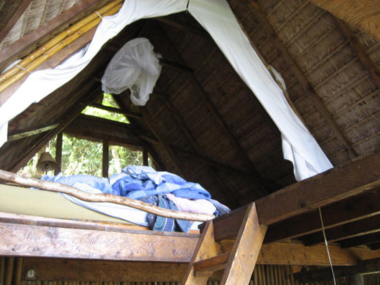 unser schlafplatz "im ersten stock"