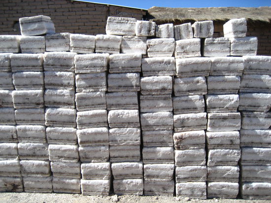 nach dem zugfriedhof ging es zu einem salzhotel. aus der salzwueste werden diese salzbloecke gewonnen, aus denen dann ganze haueser gemauert werden.