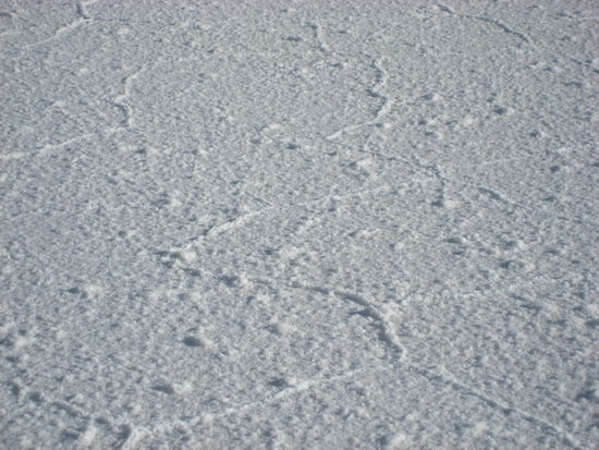 ... spielerei der natur...