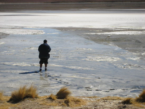 einer unserer brasilianer gibt alles fuer das perfekte foto von dem flamingo