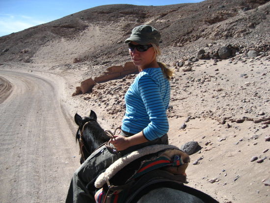 ich hatte einen schwarzen hengst, wie black beauty. dafuer dass ich pferde gar nicht so mag fand ich mein pferd toll!