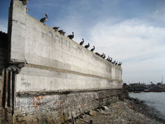 startklar auf der mauer