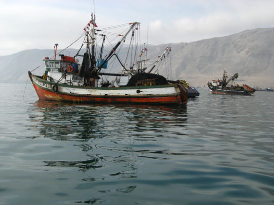 eindruecke der fischkutter