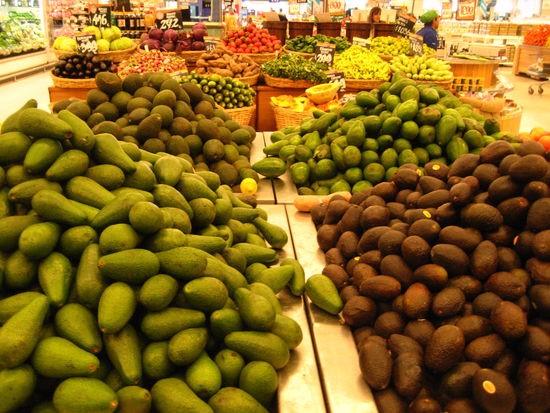 in la serena fanden wir im supermarkt 5 (!) avocado sorten, die sich hier in ganz chile auf jedem hambuger, hotdog und salat wiederfindet