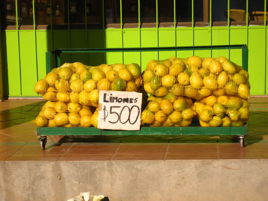 vor der plantage gab es einen sack zitronen fuer 500 chilenische pesos, was rund 80 EUR cent sind...