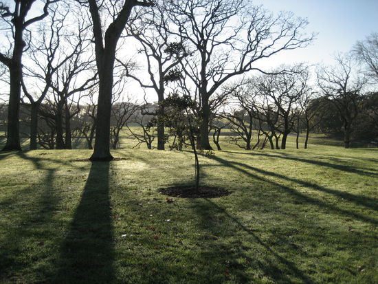 morgens um halb neuen (dank jetlag) im wunderbaren park des museums, hoch oben auf dem berg ueber der stadt.