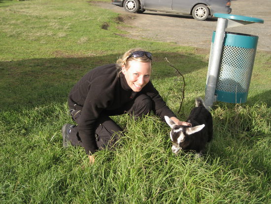 konnte mich kaum trennen von dem zicklein!